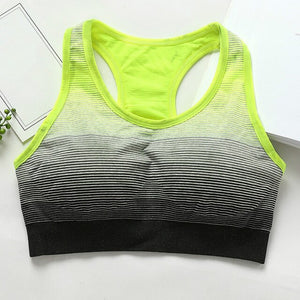 Gradient Breathable Sports Bras Quick Dry Padded